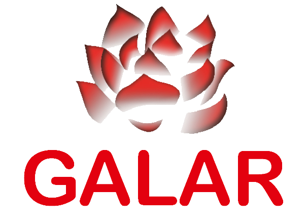 galar-firma.com